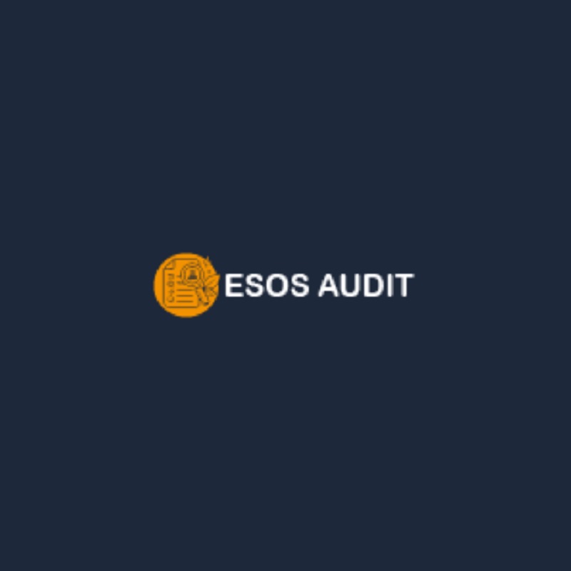 ESOS Audit Ltd